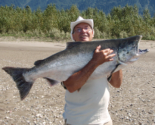 Fly fishing for salmon is great in the fall months. This 20 pound coho (silver) was caught while fly fishing